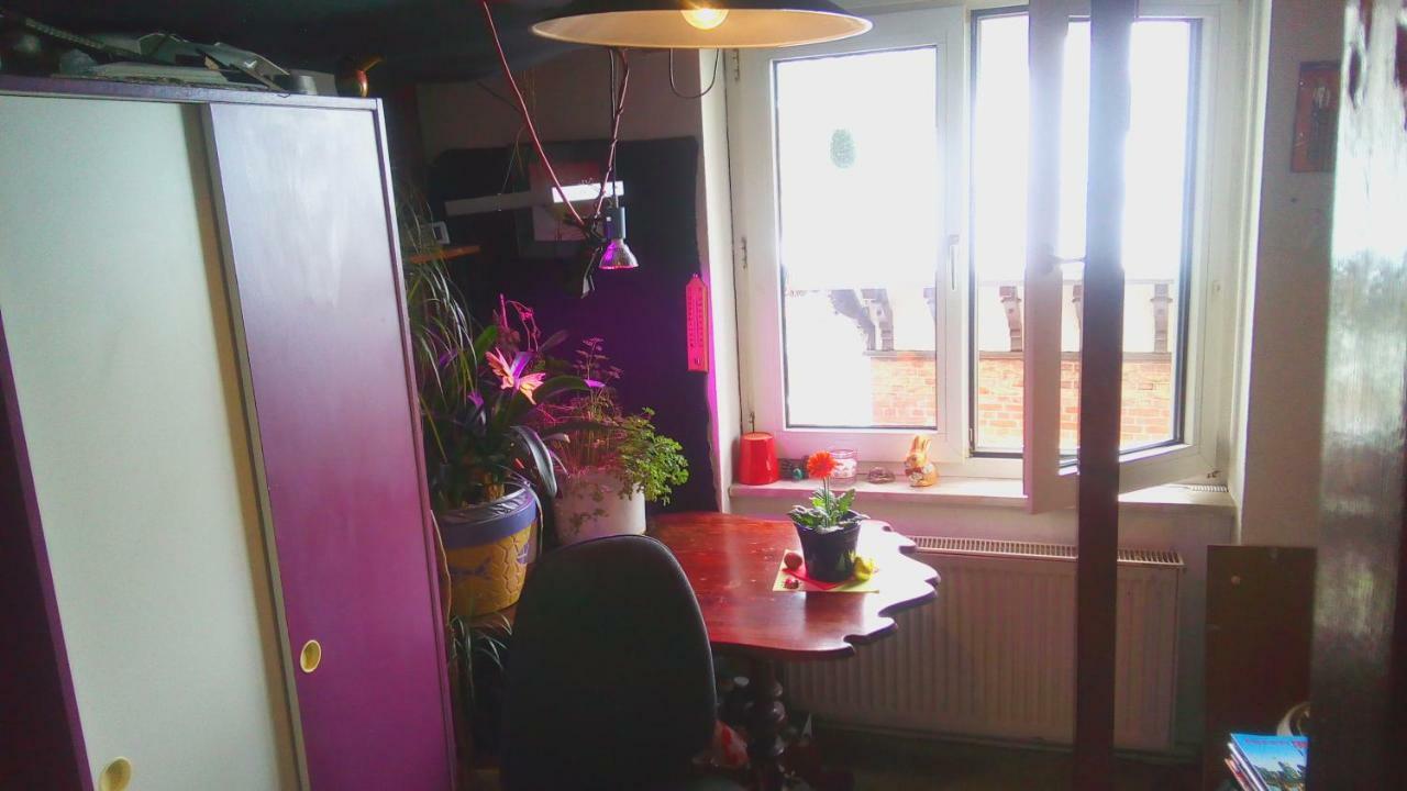 Citycentre Room For 1 Female Persons - Alternative Plus 1 Child Frankfurt am Main Exterior foto